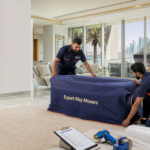 House Moving Companies in Abu Dhabi Compared: Which One Should You Choose? -